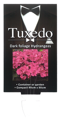 Hydrangea Tuxedo Pink label.png